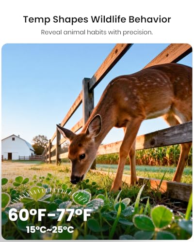 Misstech 4K UHD Solar Trail Camera, 0.1s Motion-Activated Wildlife Record | 64MP/4K Clear Night Vision for Outdoor & Game, No Monthly Fee, App Control, Local Storage, IP66 Weatherproof Deer Camera