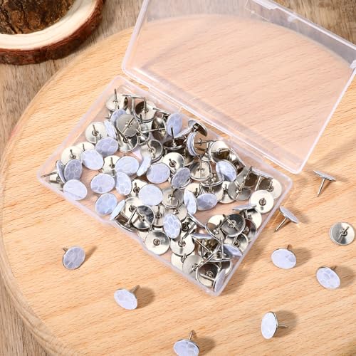 100 PCS Reflective Tacks Trail Markers, 0.4" High Visibility Tacks Bright Eyes Trail Markers, Glow Mark Thumb Tack with Box for Hunting Hiking Camping Tree Stand Marking