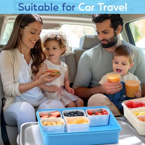 Snackle Box Container for Adults with 9 Compartment, Divided Serving Tray Snack Box Containers with Lid and Handle, Charcuterie Boxes Portable Snack Platter for Fruit Veggie Party Travel, Blue - color: Blue
