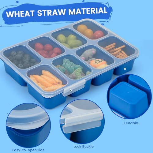 MaMix Snackle Box Container,Leak-Proof Snack Box 8 Compartment Divided Serving Tray with Lid, Dishwasher Safe Food Containers for Fruit Candy Snack Nuts Veggie Party (2 PACK) - color: BLUE+PINK