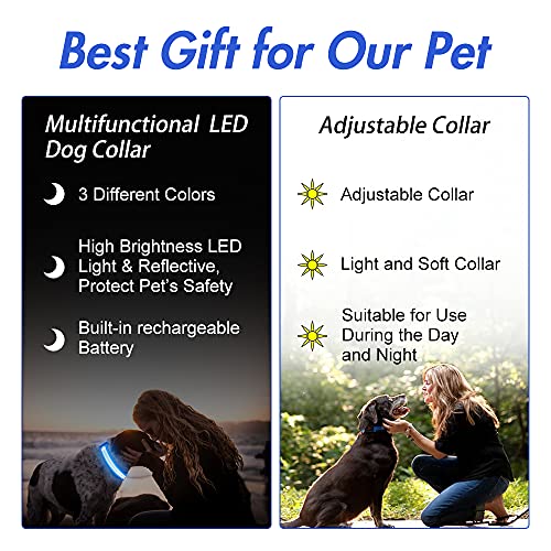 LED Dog Collar, Dog Light Up Collar,for Night Walking (Blue, Small) - color: Blue, size: Small