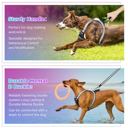 Light Up Dog Harness–Multicolor LED Dog Harness with 7 Lighting Modes | No Pull USB Rechargeable Safety Vest with Handle for Medium Large Dogs | Waterproof Adjustable Glow-in-The-Dark Illuminated(XL) - size: Extra Large