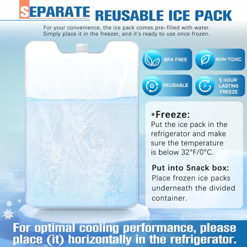 Chilled Portable Snackle Box Container with Ice Pack, Beach Essentials for Summer, Divided Serving Tray with Insulated Bag for 8+ Hrs Cooling, Snack Containers for Road Trip Charcuterie Snack Picnic - color: Orchid