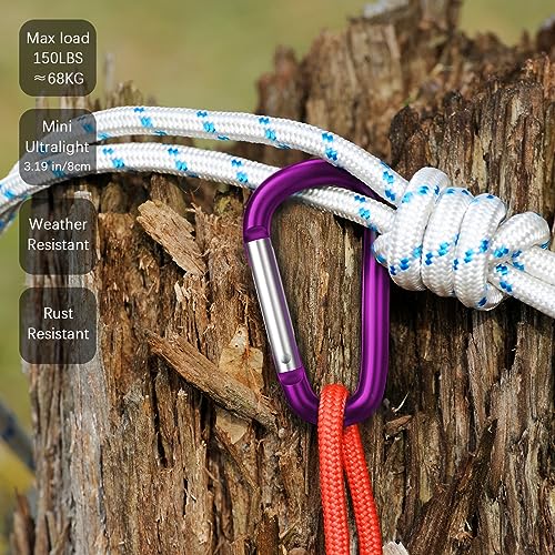 sprookber 3" Aluminum Carabiner D Ring, Caribeener Clips, Spring Snap Hook for Keychain Clip, Set of 10 - color: Purple