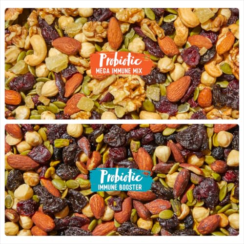Nature's Garden Probiotic Immune Snack 28.8oz (24x1.2oz)Pack of 2 Trail Mix - size: 1.2 Ounce (Pack of 48)