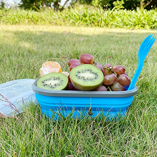 CARTINTS 800ml Collapsible Bento Lunch Box, Silicone Food Storage Container, with Leakproof Lids and Spoon, Microwave Freezer Safe, Blue - color: Blue 800ml Bento Box