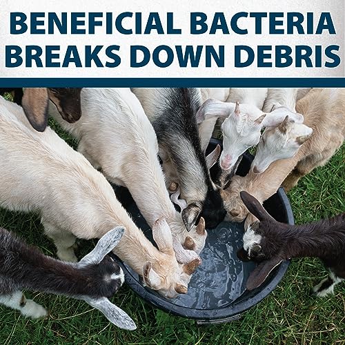 Airmax Stock Tank Defense Livestock Water Trough Cleaner Treatment, 6 Tabs | Clean drinking tanks for horse, cattle, goat & chicken with safe, easy-to-use tablet for farming & agricultural use - size: 6 Tablets