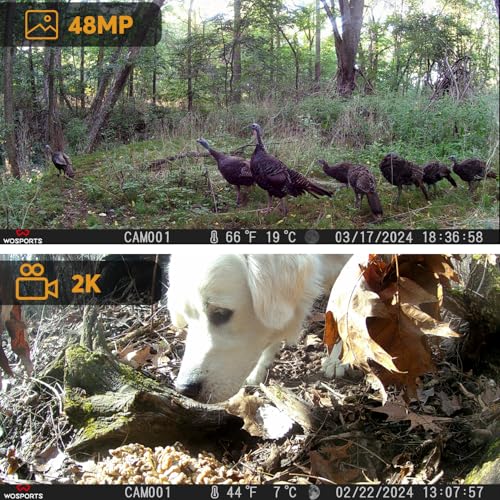 48MP WiFi Trail Camera, 2K Game Camera with 7800mAh Rechargeable Solar Panel, Cell Phone APP, 0.1s Bluetooth Game Camera with Night Vision Motion Activated Waterproof, Gift for Men