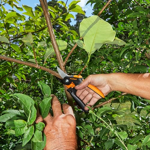 Fiskars PowerGear2 Softgrip Bypass Garden Pruners, 3/4" Branch Cut Capacity - size: PowerGear2 SoftGrip