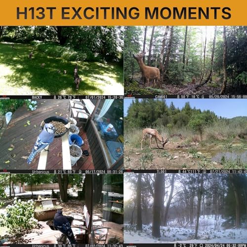 WOSPORTS WiFi Bluetooth Trail Camera,48MP 30fps Rechargeable Game Camera with 7800mAh Solar Panel, Night Vision,Motion Activated, Cell Phone Live View,IP66,Wildlife Cams for Outdoor Backyard