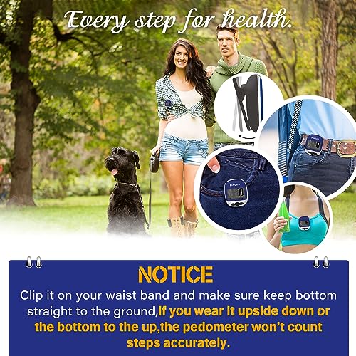 PINGKO Outdoor Multi-Function Portable Sport Pedometer Step/Distance/Calories/Counter - color: Blue