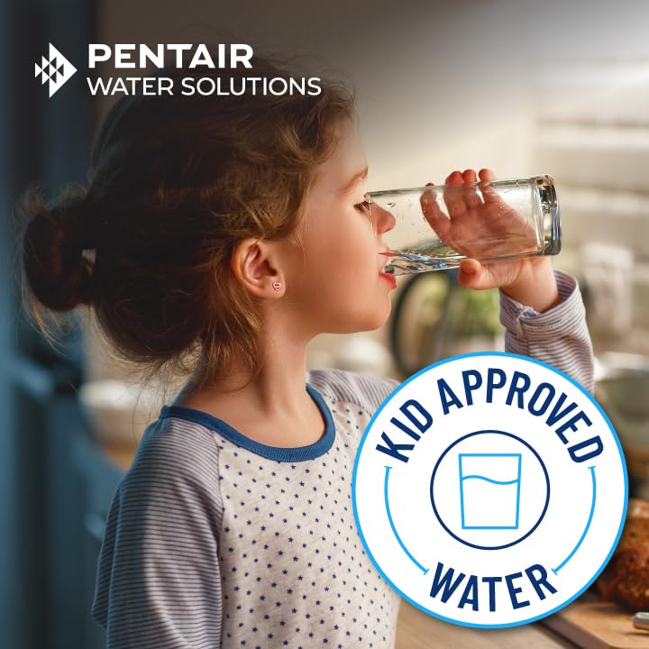 Pentair Everpure EF-1500 Full Flow Drinking Water System, EV985800, NSF Certified to Reduce Lead, Includes Filter Head, Cartridge, and All Hardware, 1,500 Gallon Capacity, 0.5 Micron - size: 1,500 Gallon, style: System