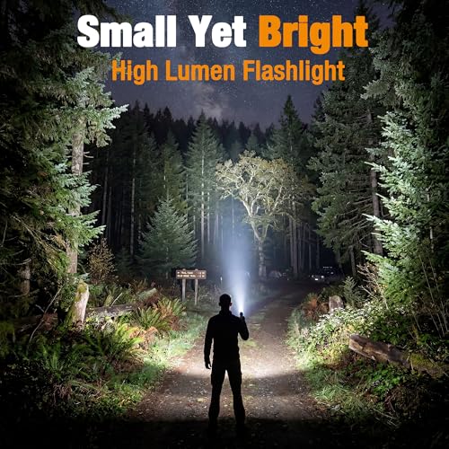 EverBrite Mini Flashlight, Zoomable 350LM LED Flashlight, Grey | Small, 3 Light Modes, Zoomable Beam, 3 AAA Batteries Included, Wrist Strap, Home, Camping & Emergency Use, Holiday Gifts - color: Gray, size: Small